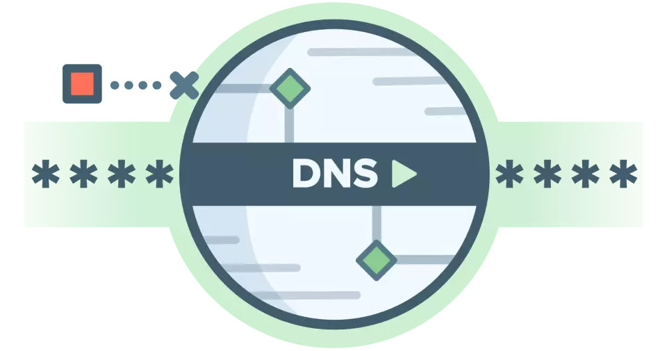 dns-protected