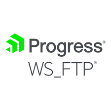  WS_FTP Professional