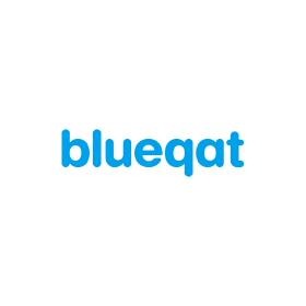 Blueqat