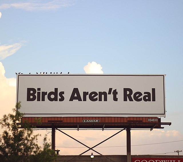 r/BirdsArentReal